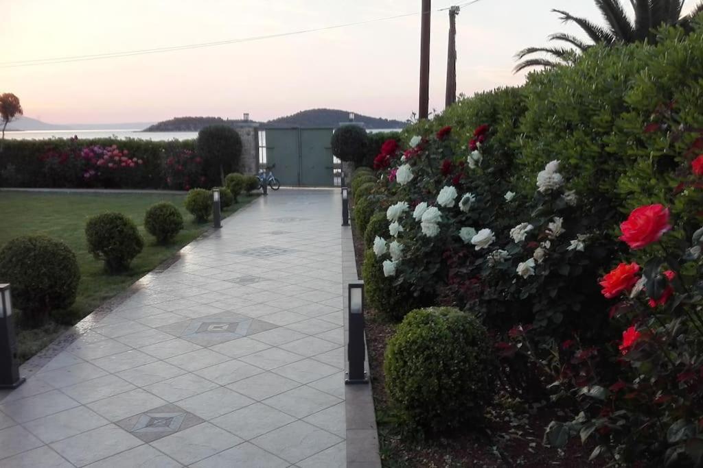 Ebony And Ivory Suites Dhrosiá Exterior foto